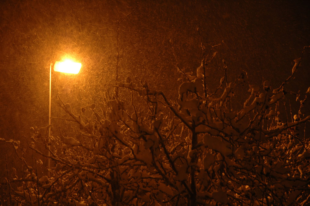 Syndrome du jumeau fantôme