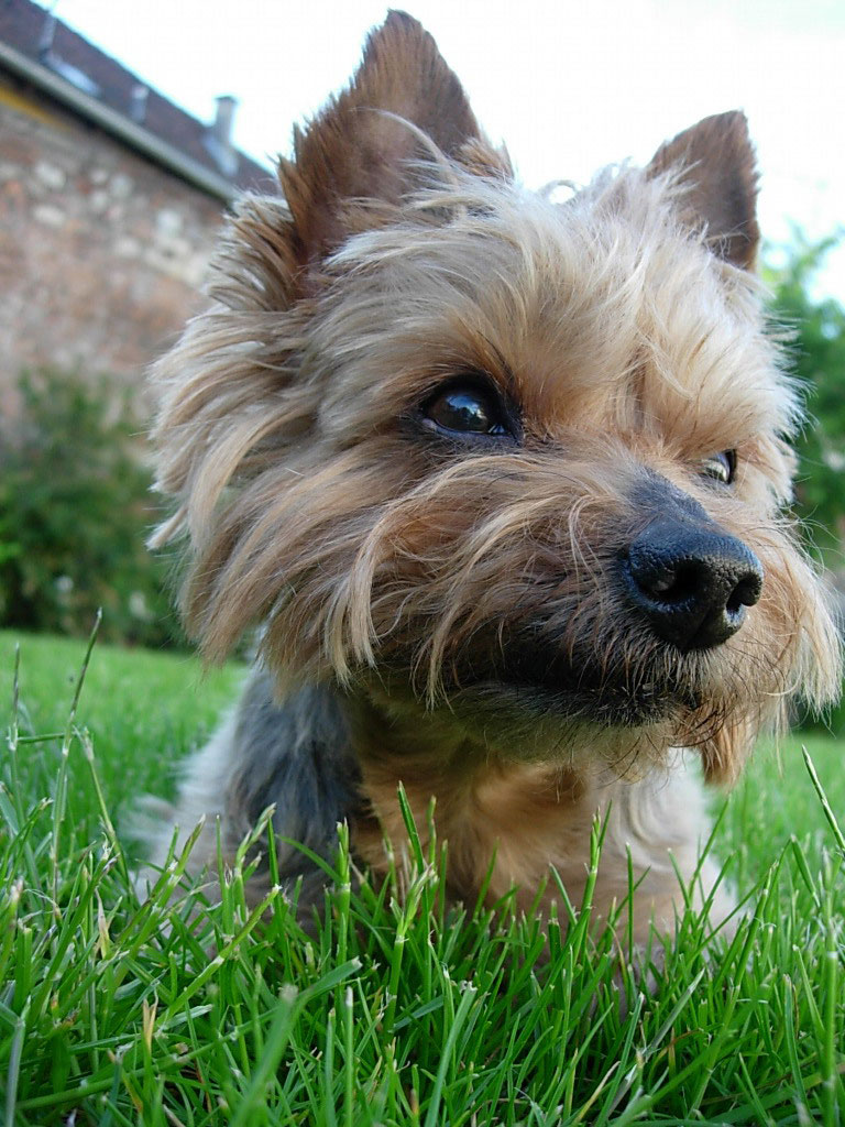 concours photo FNAC "Qui êtes-vous ? "