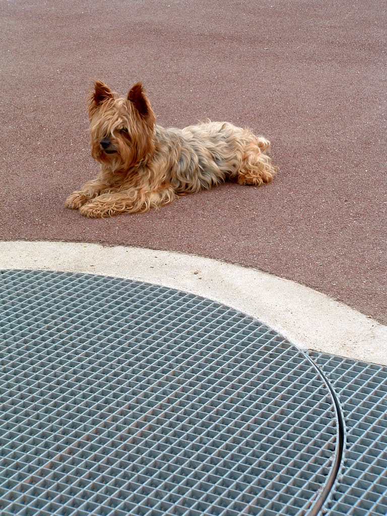 C'est de la torture, j'ai faim moi