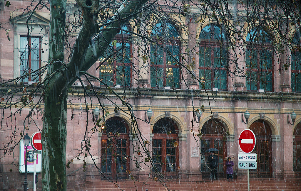 Syndrome du jumeau fantôme