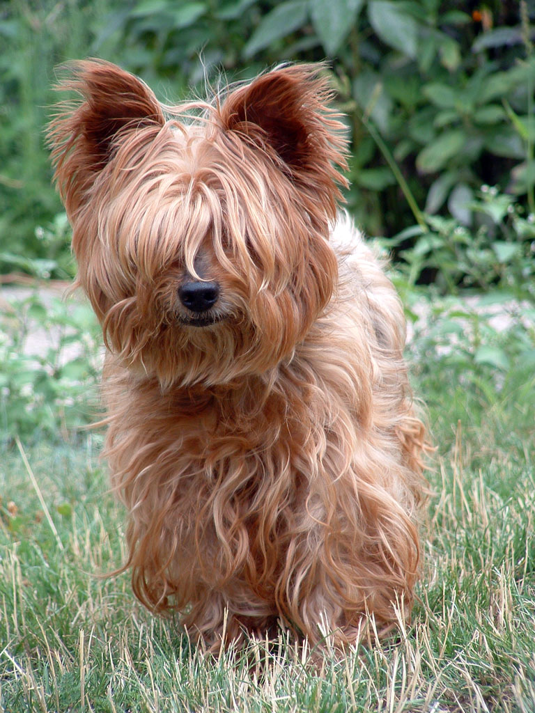 C'est de la torture, j'ai faim moi