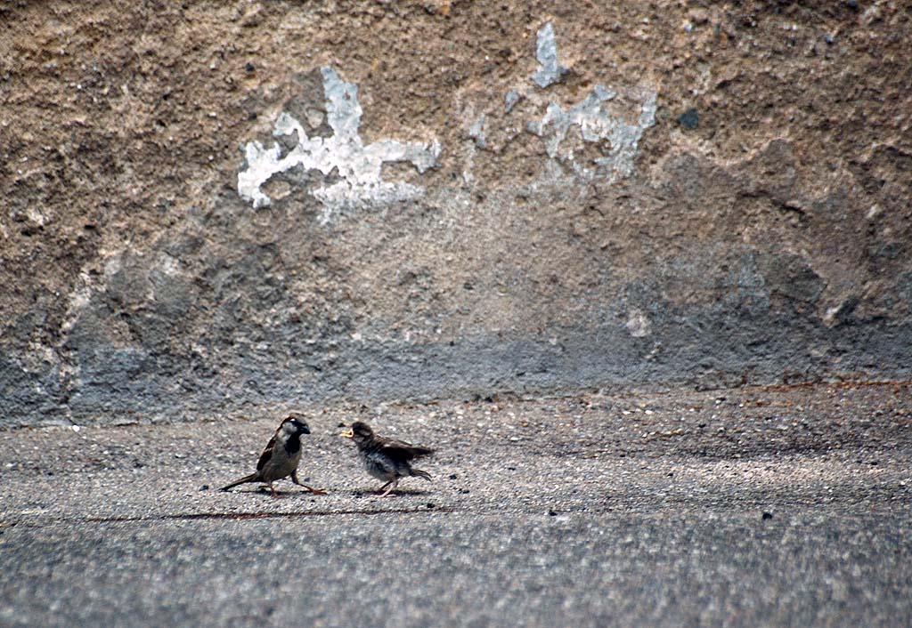 concours photo FNAC "Qui êtes-vous ? "