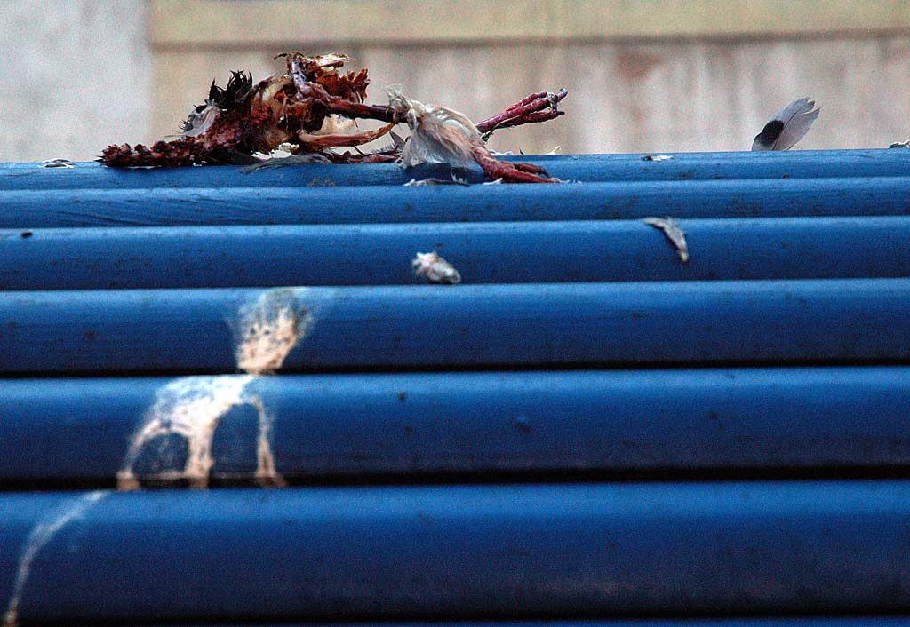 C'est de la torture, j'ai faim moi