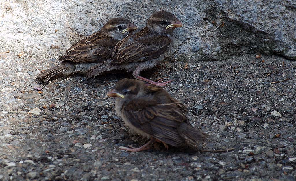 concours photo FNAC "Qui êtes-vous ? "