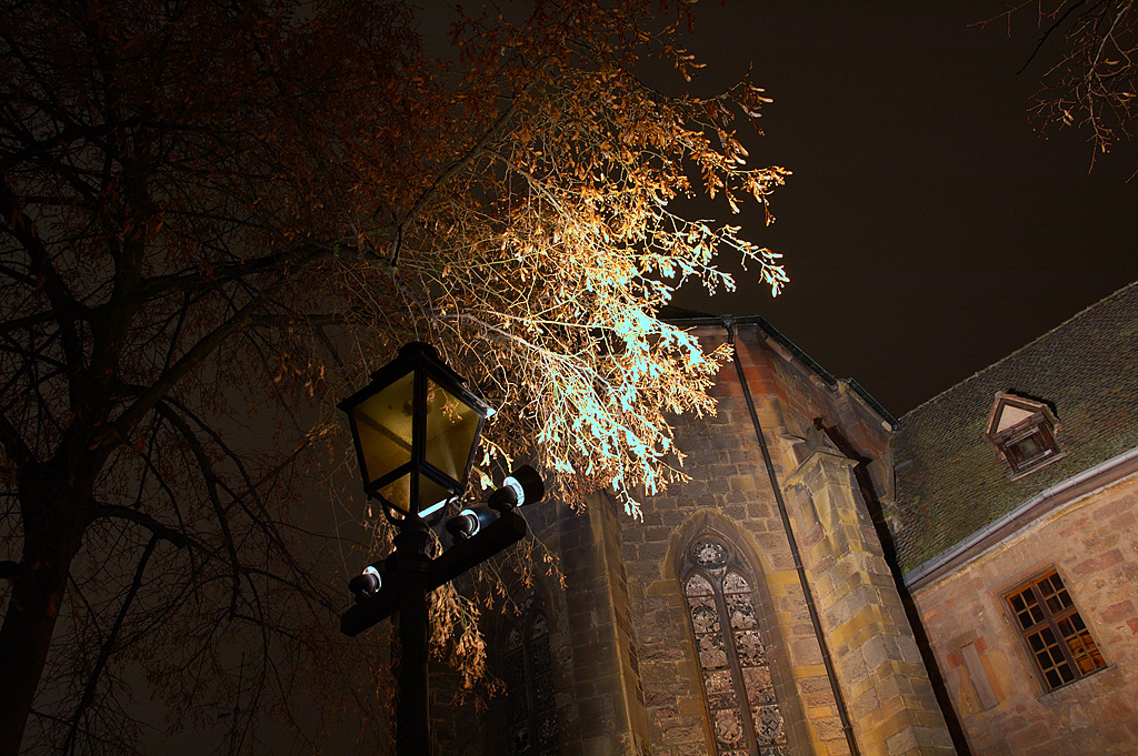 C'est de la torture, j'ai faim moi